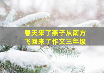 春天来了燕子从南方飞回来了作文三年级