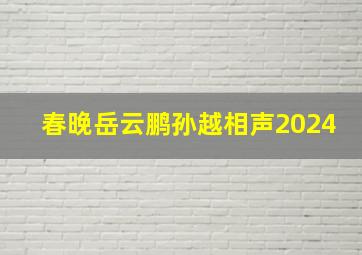 春晚岳云鹏孙越相声2024