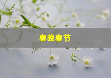 春晚春节