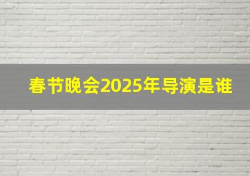 春节晚会2025年导演是谁