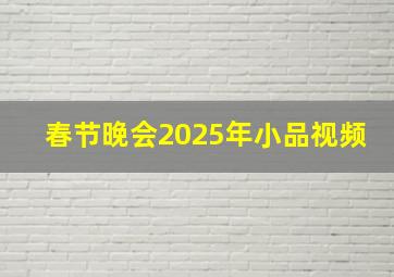 春节晚会2025年小品视频