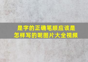 是字的正确笔顺应该是怎样写的呢图片大全视频