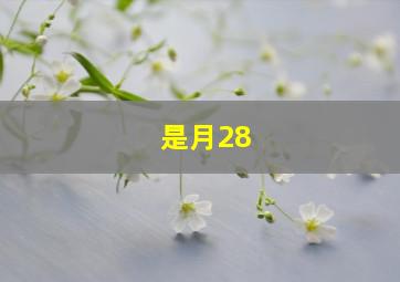 是月28