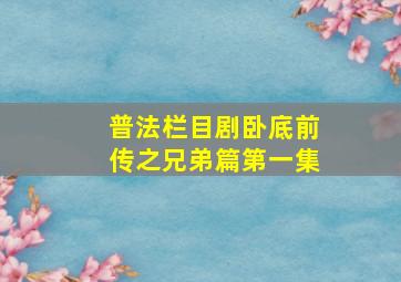 普法栏目剧卧底前传之兄弟篇第一集