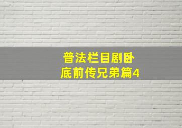 普法栏目剧卧底前传兄弟篇4