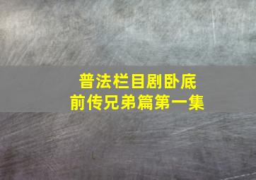 普法栏目剧卧底前传兄弟篇第一集