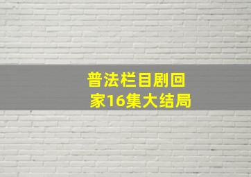 普法栏目剧回家16集大结局