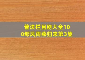 普法栏目剧大全100部风雨燕归来第3集