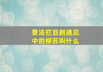 普法栏目剧遇见中的柳苏叫什么