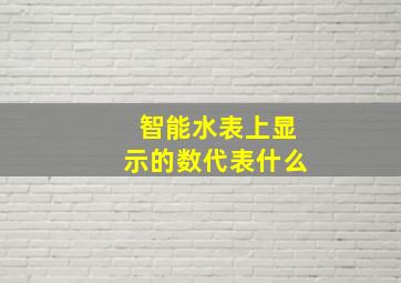 智能水表上显示的数代表什么