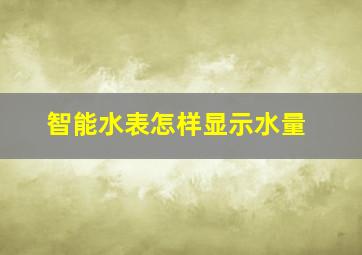 智能水表怎样显示水量