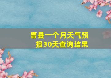 曹县一个月天气预报30天查询结果