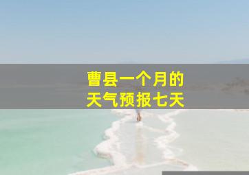 曹县一个月的天气预报七天