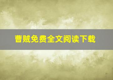 曹贼免费全文阅读下载