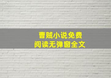 曹贼小说免费阅读无弹窗全文