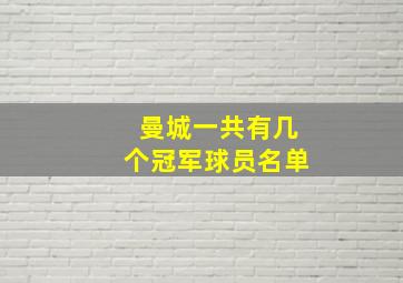 曼城一共有几个冠军球员名单