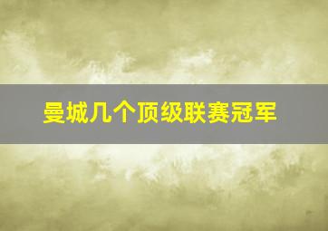 曼城几个顶级联赛冠军