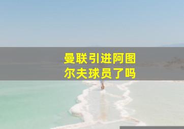 曼联引进阿图尔夫球员了吗