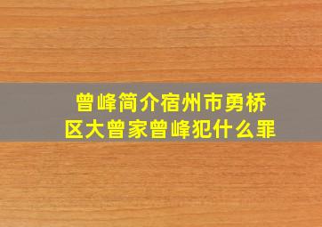 曾峰简介宿州市勇桥区大曾家曾峰犯什么罪