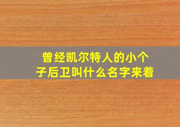 曾经凯尔特人的小个子后卫叫什么名字来着