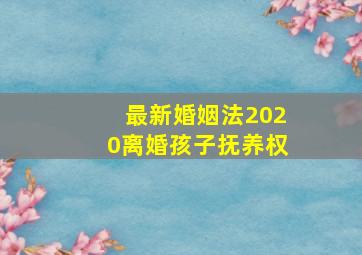 最新婚姻法2020离婚孩子抚养权