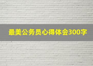 最美公务员心得体会300字