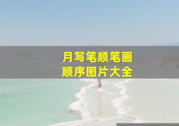 月写笔顺笔画顺序图片大全