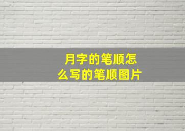 月字的笔顺怎么写的笔顺图片