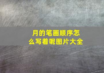 月的笔画顺序怎么写着呢图片大全