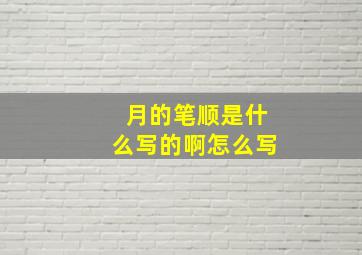 月的笔顺是什么写的啊怎么写