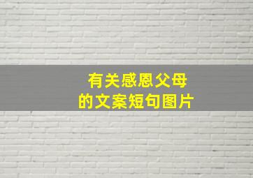 有关感恩父母的文案短句图片