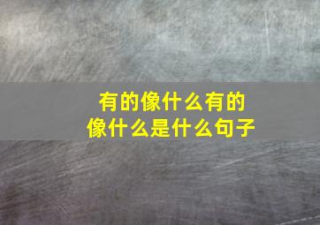 有的像什么有的像什么是什么句子