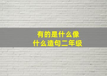 有的是什么像什么造句二年级