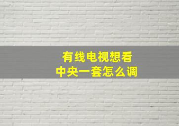 有线电视想看中央一套怎么调