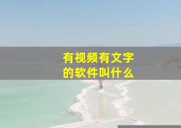 有视频有文字的软件叫什么