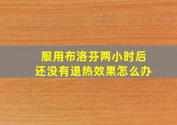 服用布洛芬两小时后还没有退热效果怎么办