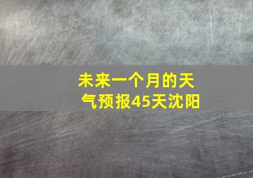 未来一个月的天气预报45天沈阳