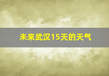 未来武汉15天的天气