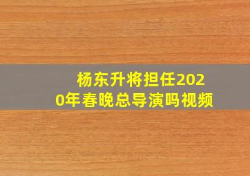 杨东升将担任2020年春晚总导演吗视频