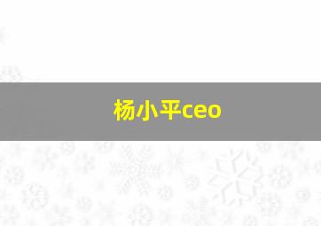 杨小平ceo