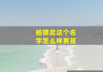 杨锦奕这个名字怎么样男孩