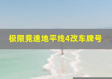 极限竞速地平线4改车牌号