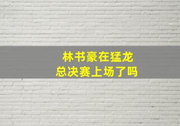 林书豪在猛龙总决赛上场了吗