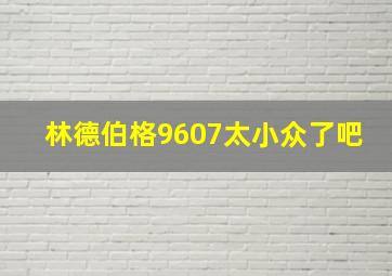 林德伯格9607太小众了吧