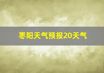 枣阳天气预报20天气