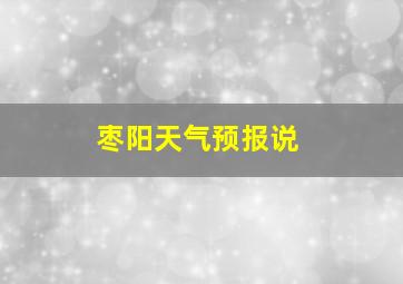 枣阳天气预报说