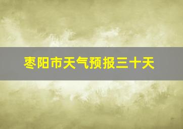 枣阳市天气预报三十天