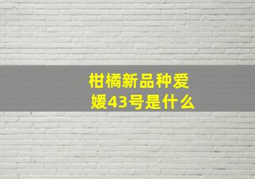 柑橘新品种爱媛43号是什么