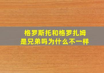 格罗斯托和格罗扎姆是兄弟吗为什么不一样