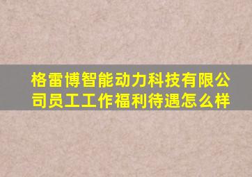 格雷博智能动力科技有限公司员工工作福利待遇怎么样